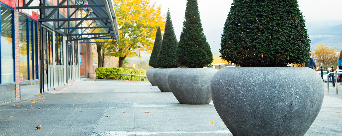 Cast Stone Planters